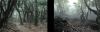Crysis - 7